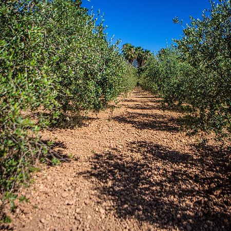Son Ribes Βίλα Alaró Εξωτερικό φωτογραφία