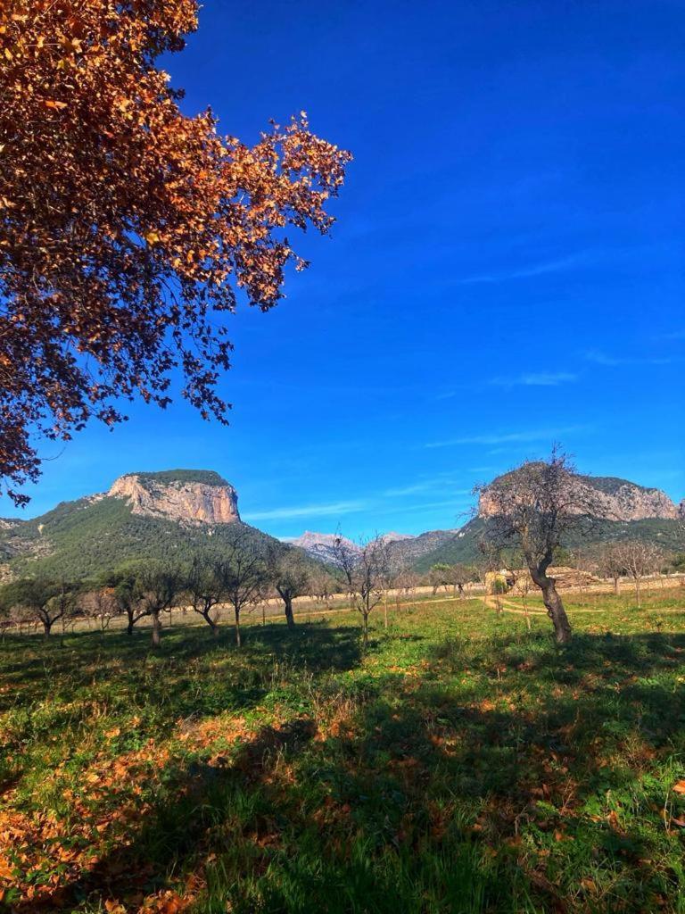 Son Ribes Βίλα Alaró Εξωτερικό φωτογραφία